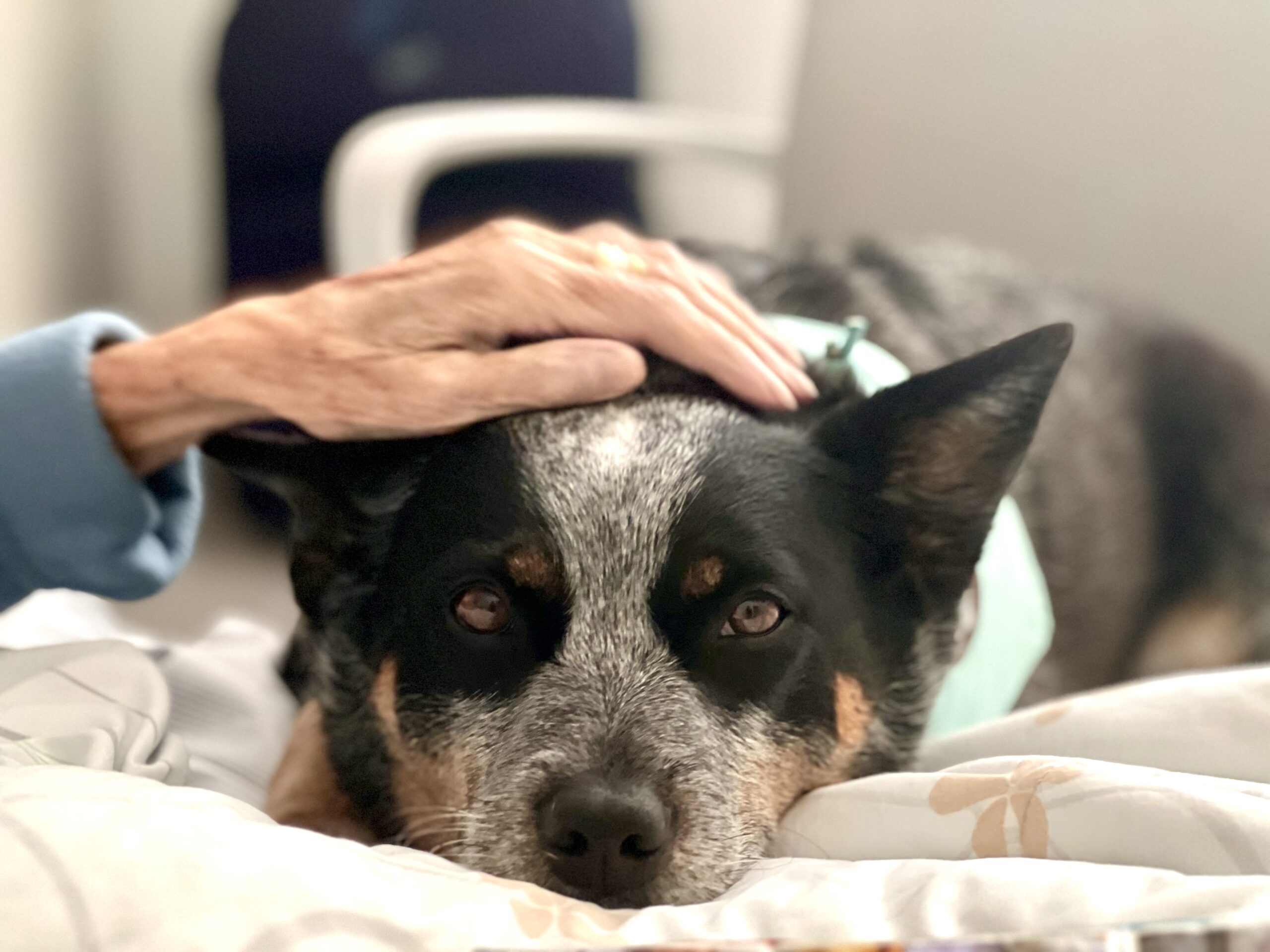 IMG_3667 Kostenfreies WLAN